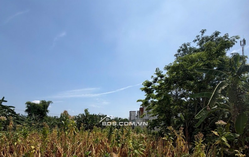 ĐÂT ĐẠI NGHĨA- ĐẠI LỘC BÁN NHANH- RẺ THANH TOÁN NGÂN HÀNG